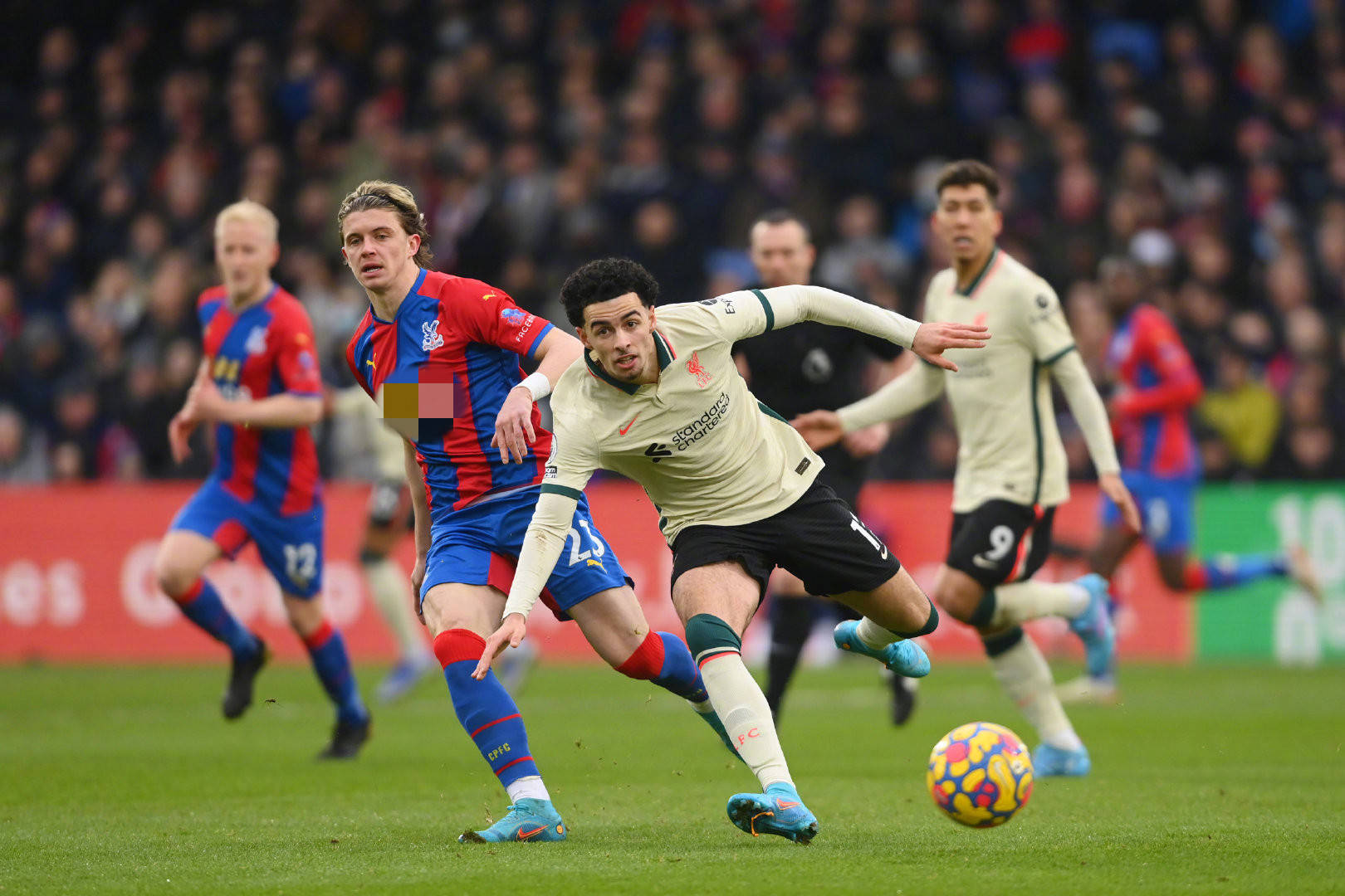 星的个人表 星的个人表